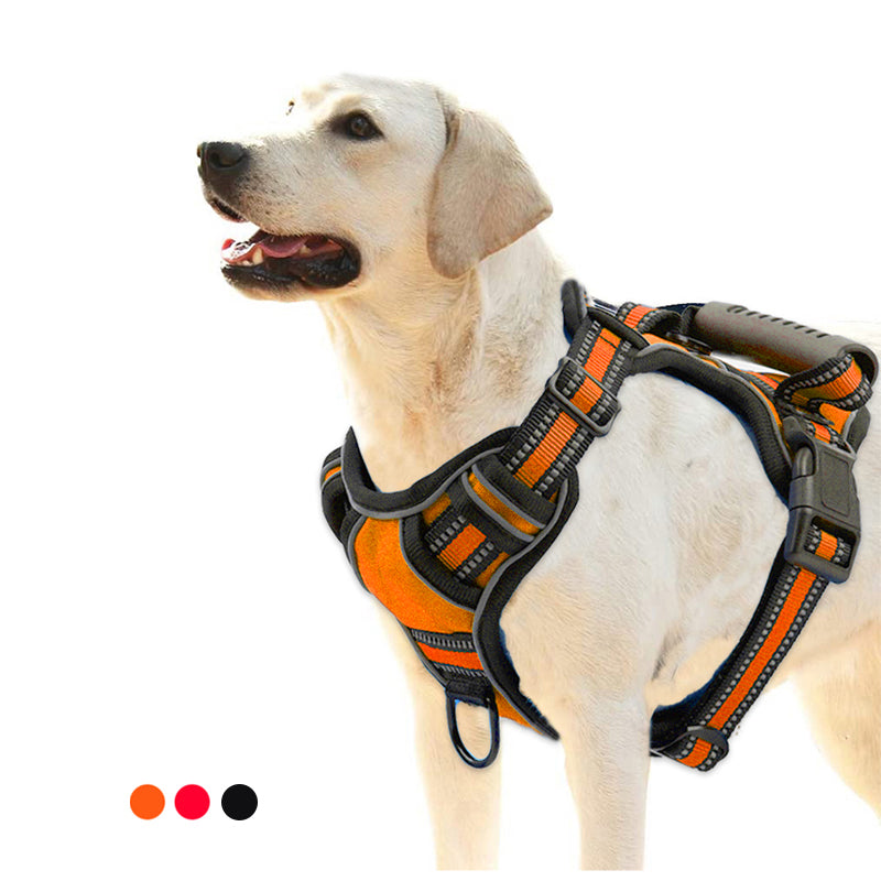 Harnesses