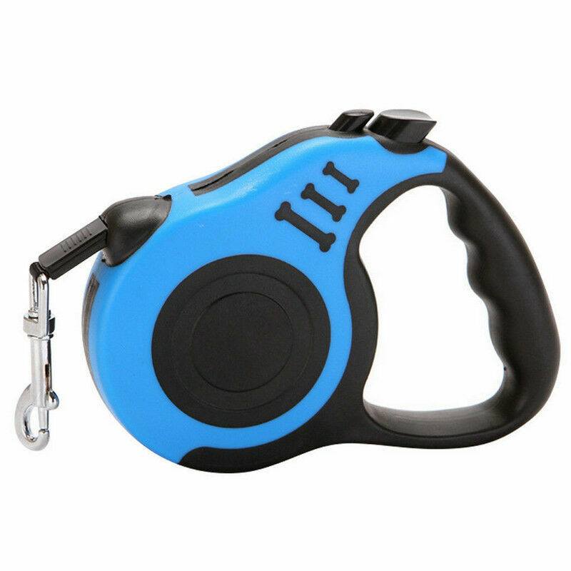 leashes