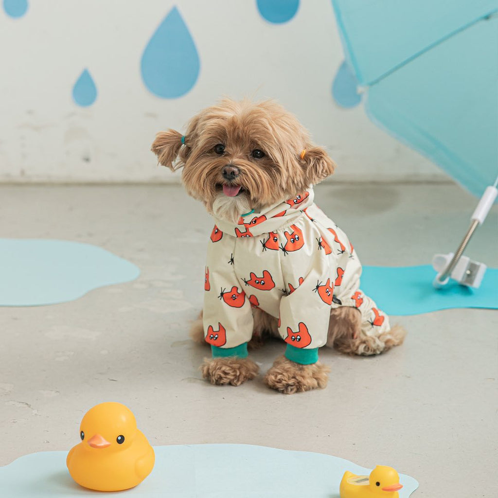 Fashionable Waterproof all in one Raincoat