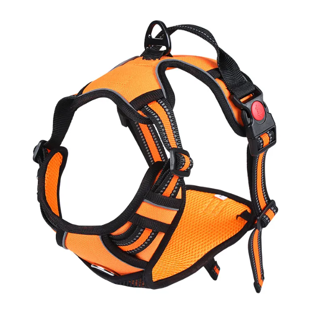 Oxford harness