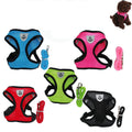 Everyday pet harness