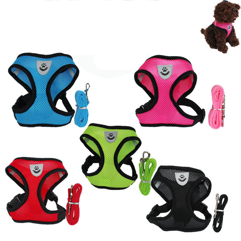 Everyday pet harness