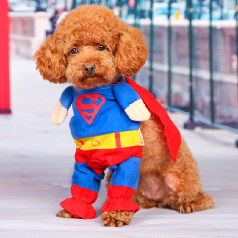 Superman Costume for Small Dogs
