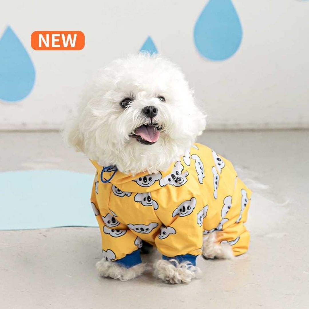 Fashionable Waterproof all in one Raincoat