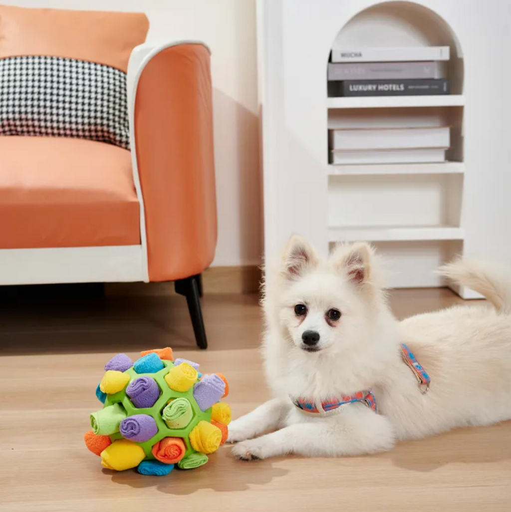 Snuffle Puzzle Ball