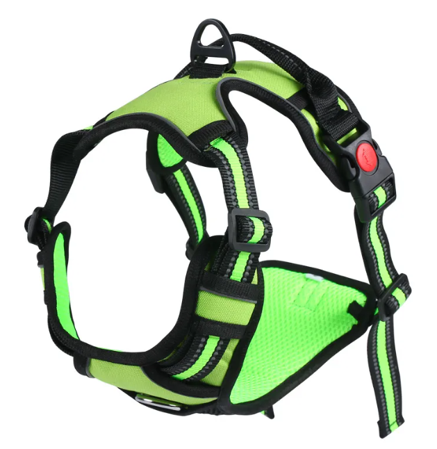 Oxford harness