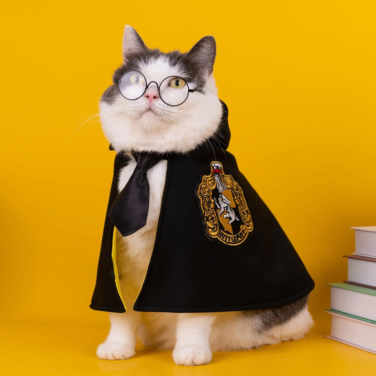 Magic halloween cape for pets