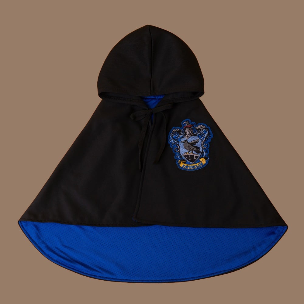 Magic halloween cape for pets