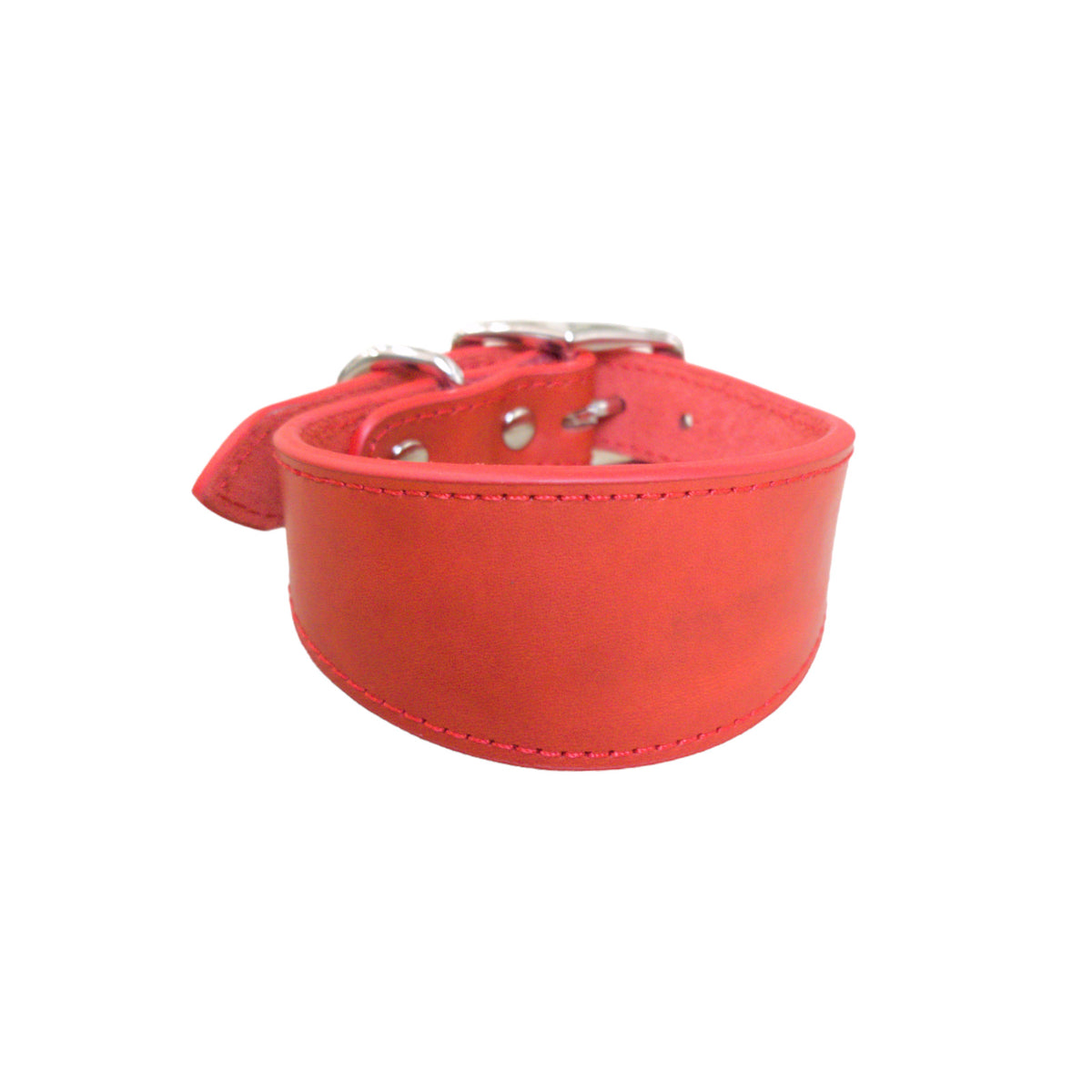 Leather Dog Collar