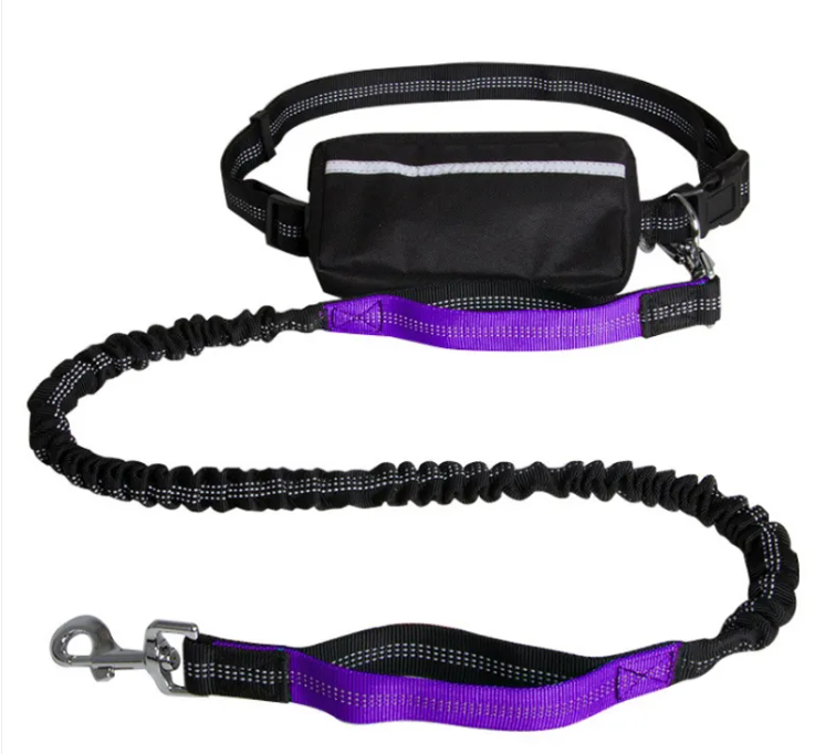 Reflective hands-free Leash