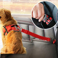 Telescopic car safety rope