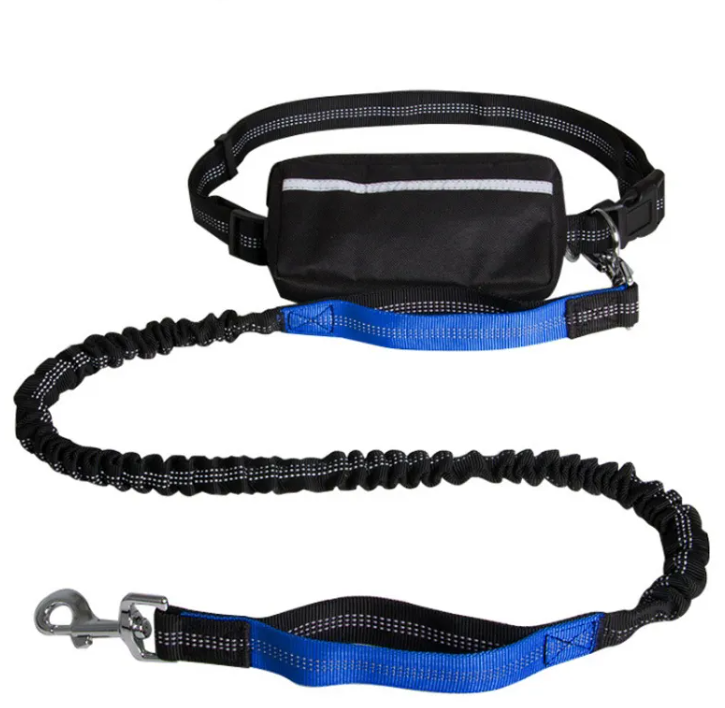 Reflective hands-free Leash