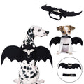 Halloween pet bat wings