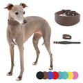 Leather Dog Collar