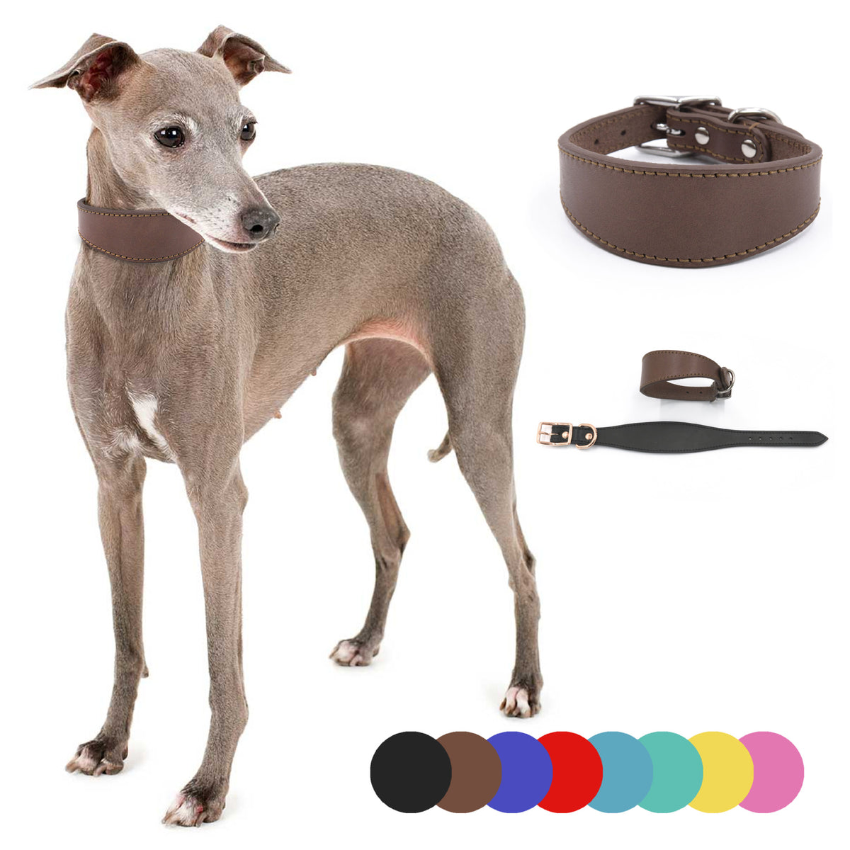 Leather Dog Collar