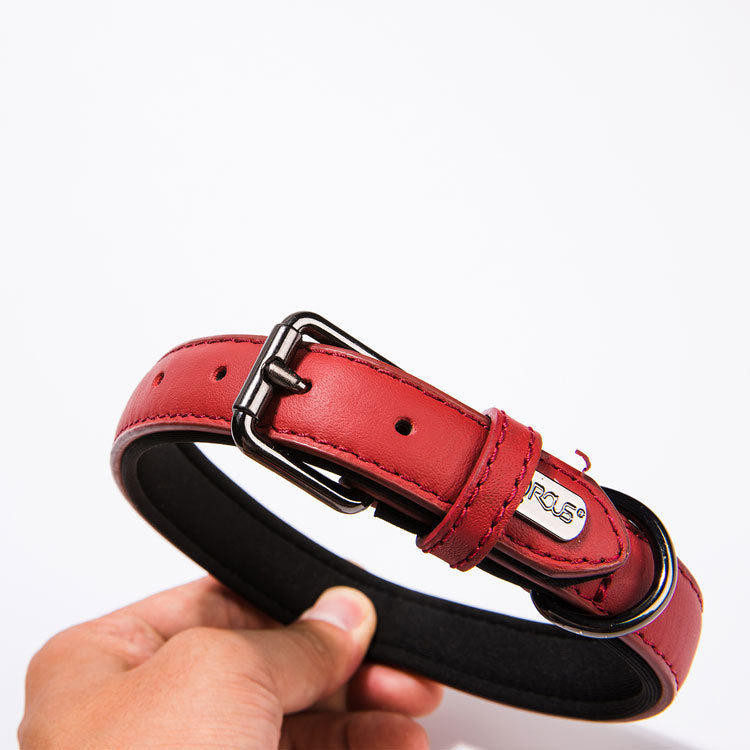 Waterproof Leather Dog Collar for Small Dogs