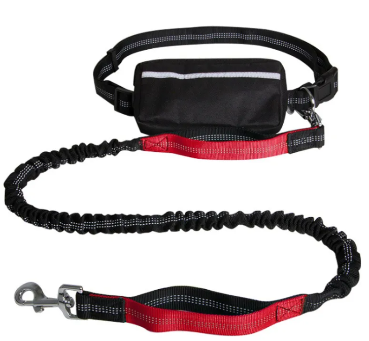 Reflective hands-free Leash