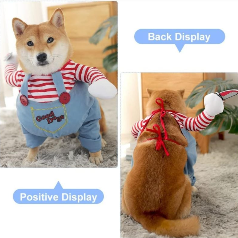 Halloween 3 piece set for pets