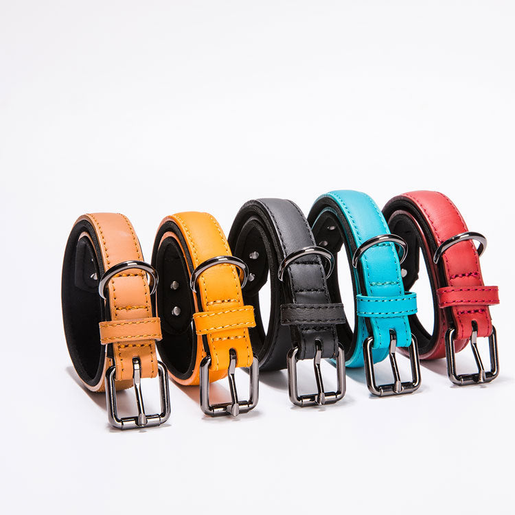 Waterproof Leather Dog Collar for Small Dogs