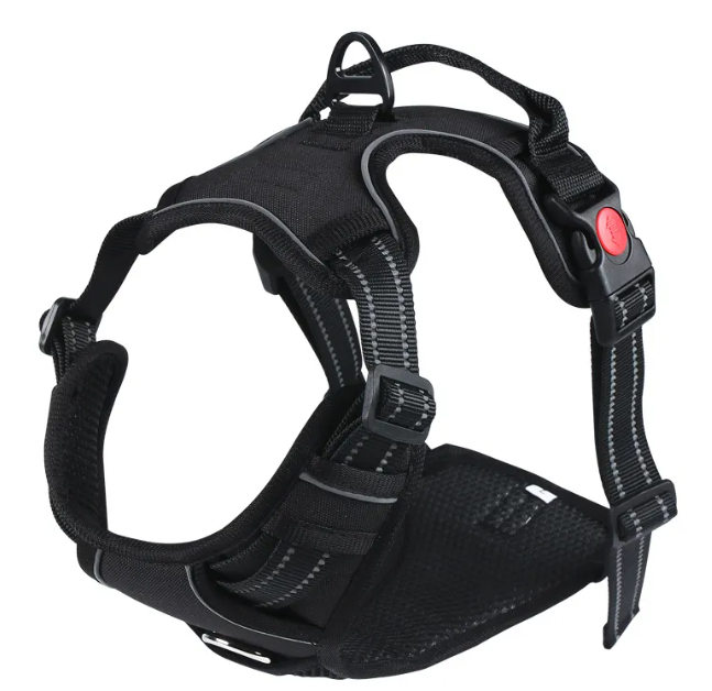 Oxford harness