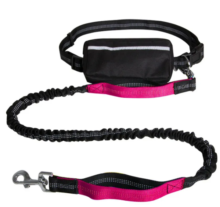 Reflective hands-free Leash