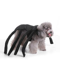 Halloween spider Outfit