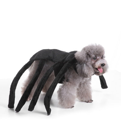 Halloween spider Outfit