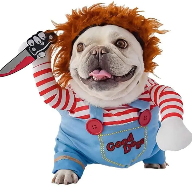 Halloween 3 piece set for pets