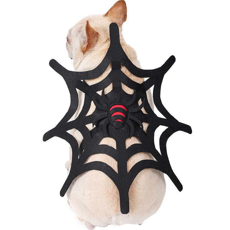 Halloween Spider Web