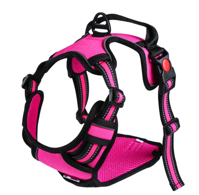 Oxford harness