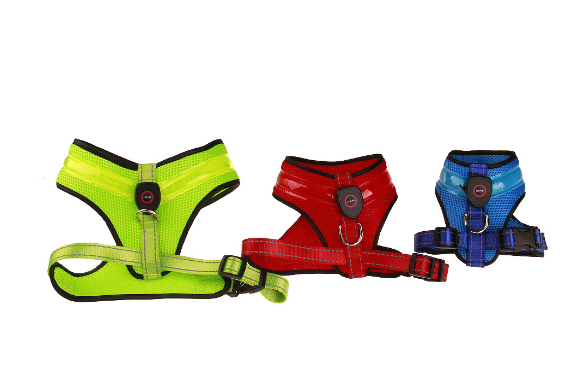 Rechargeable LED Dog Harness