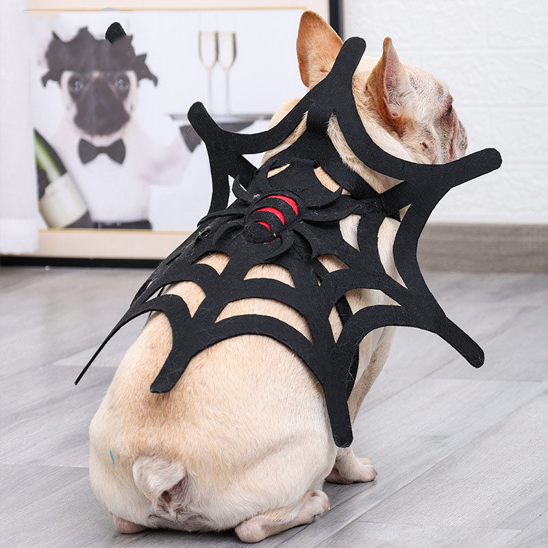 Halloween Spider Web