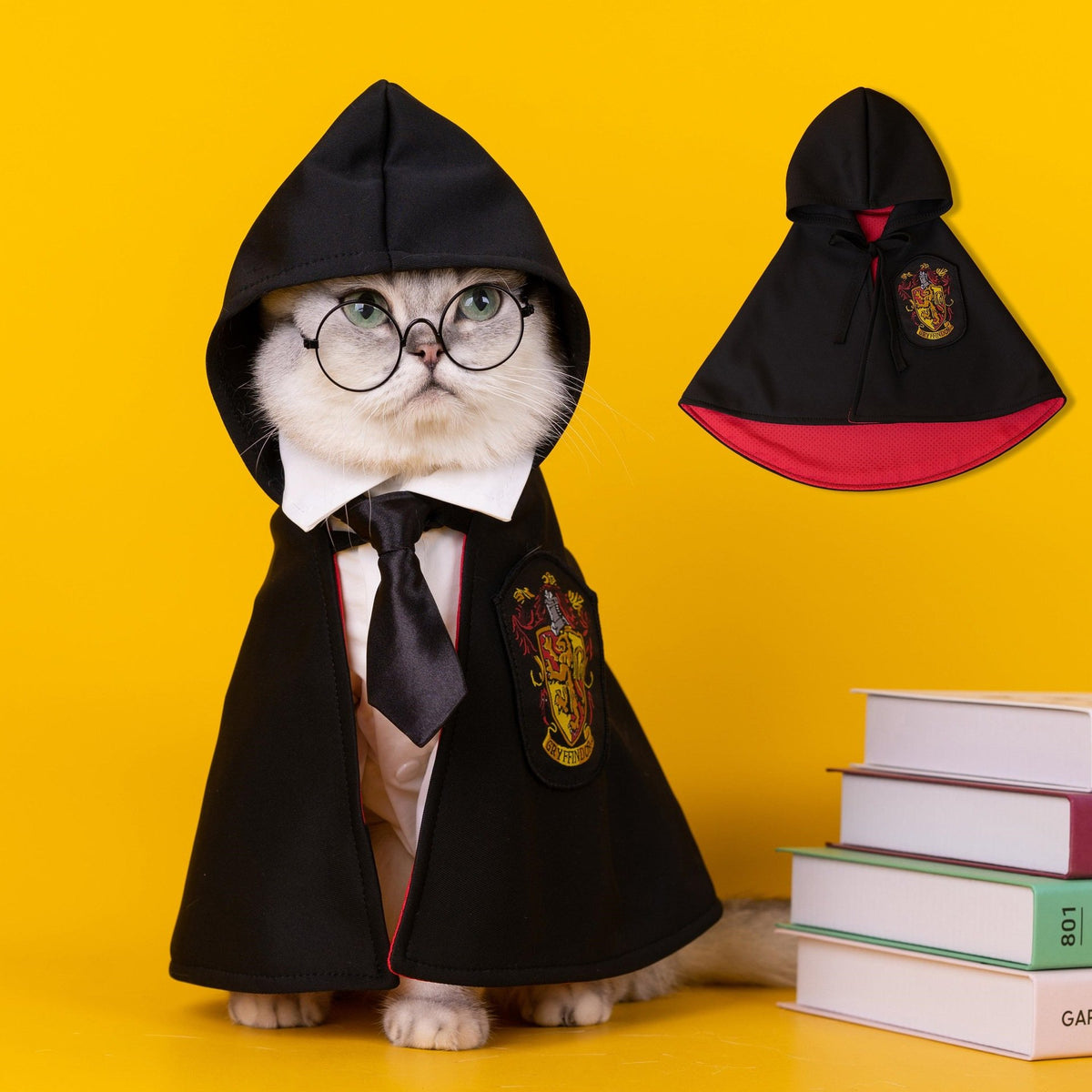 Magic halloween cape for pets