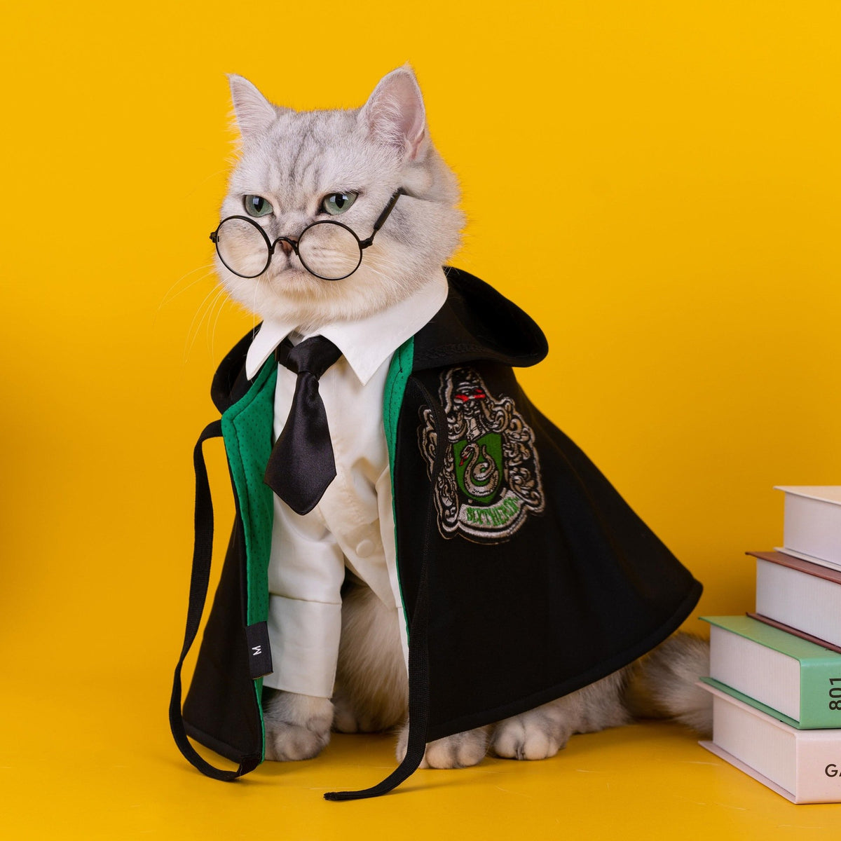 Magic halloween cape for pets