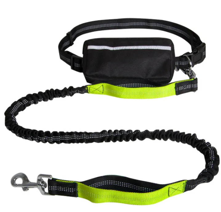 Reflective hands-free Leash