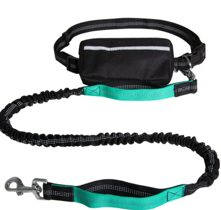 Reflective hands-free Leash