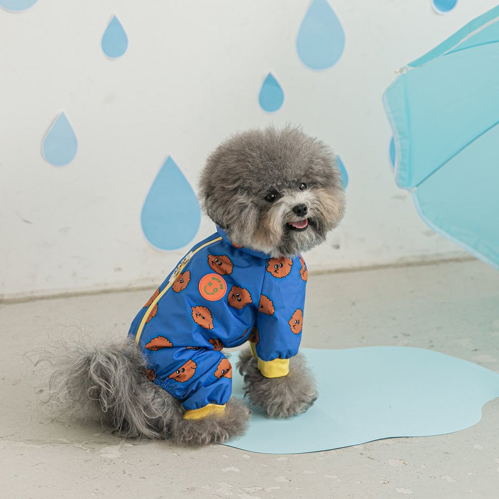 Fashionable Waterproof all in one Raincoat