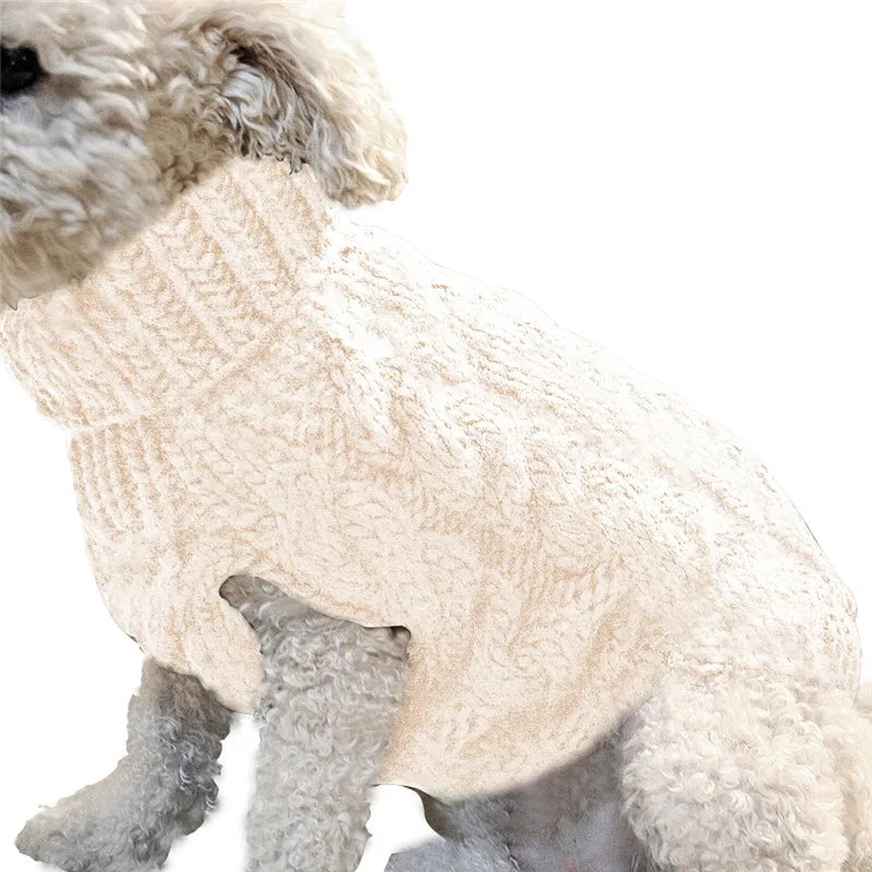 Winter Sweater