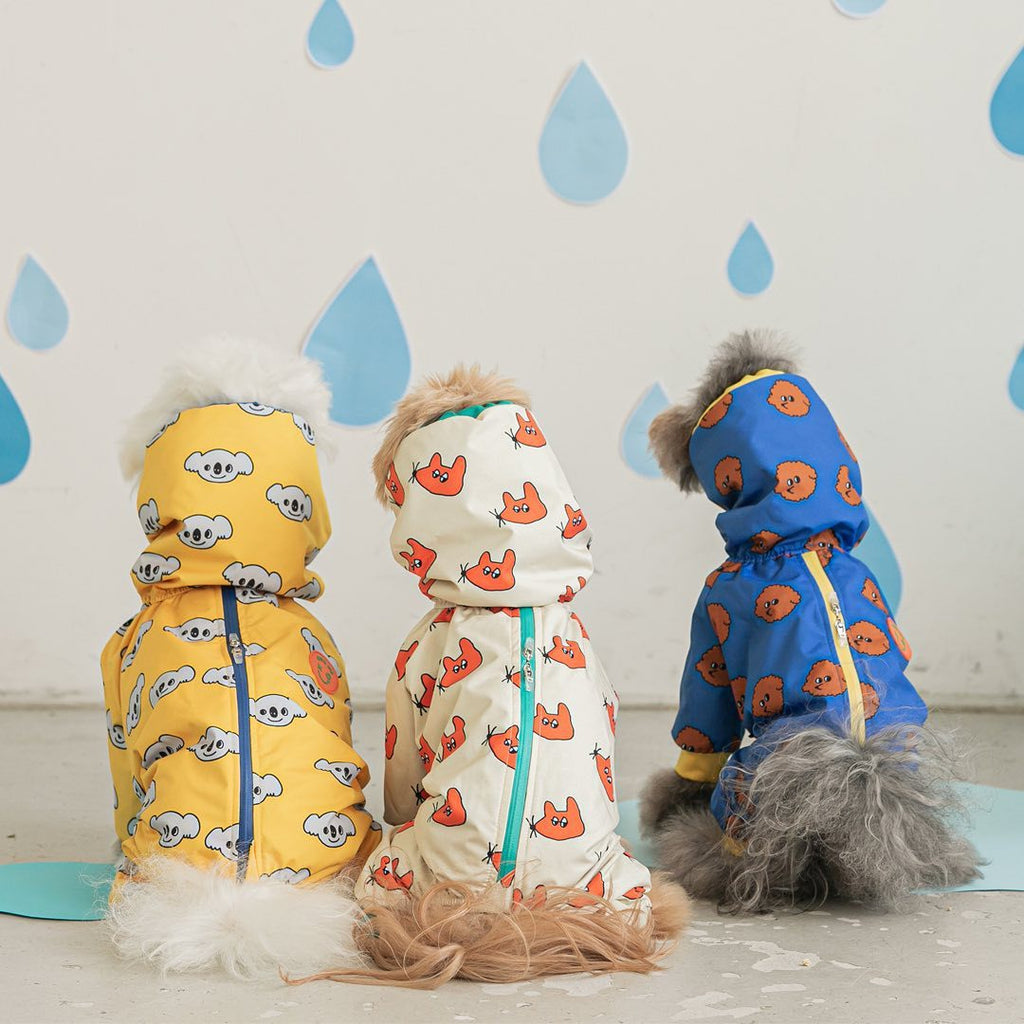 Fashionable Waterproof all in one Raincoat