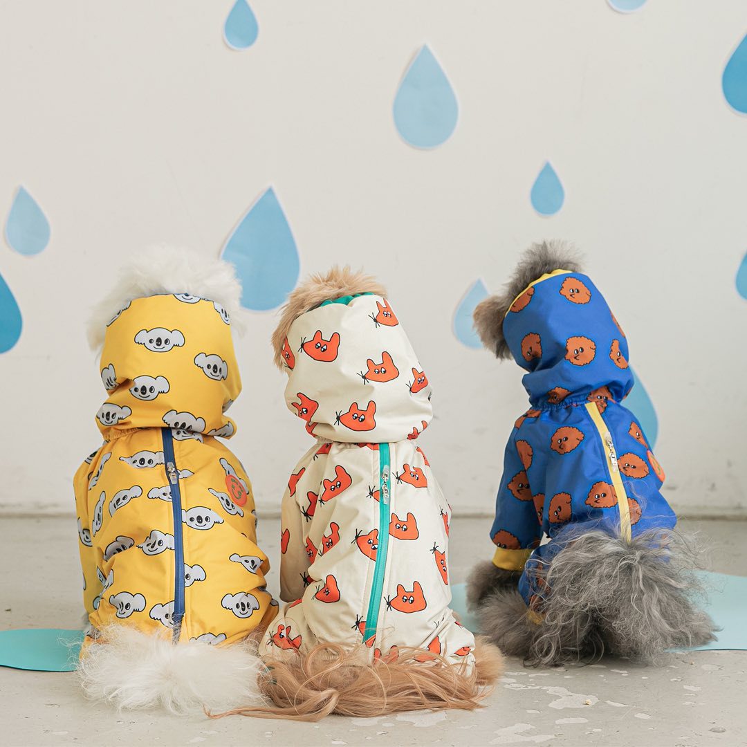 Fashionable Waterproof all in one Raincoat