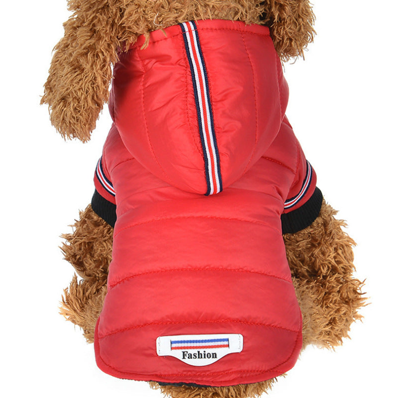 Autumn Winter Cotton Jacket for Small Dogs & Cats