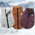 Teddy Jacket for Small to Medium Dogs