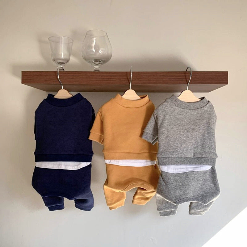 Casual outfit for small dogs