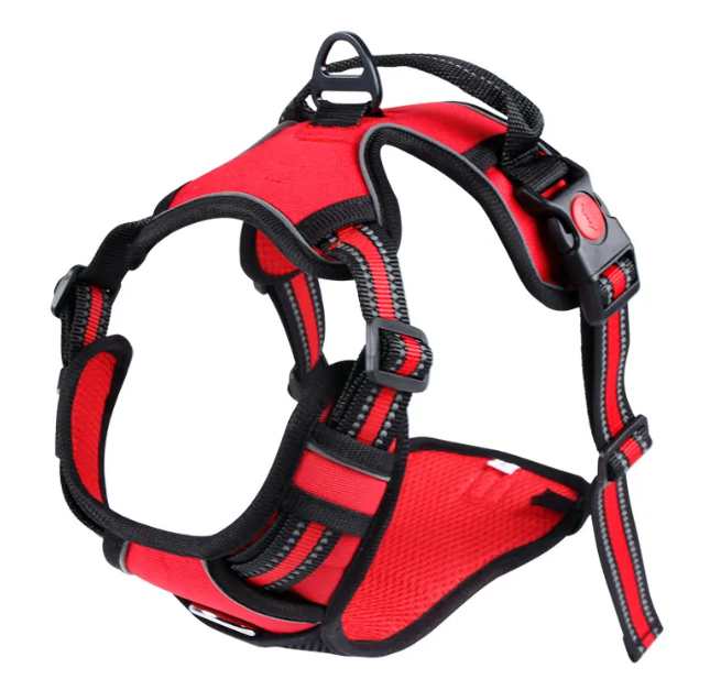Oxford harness