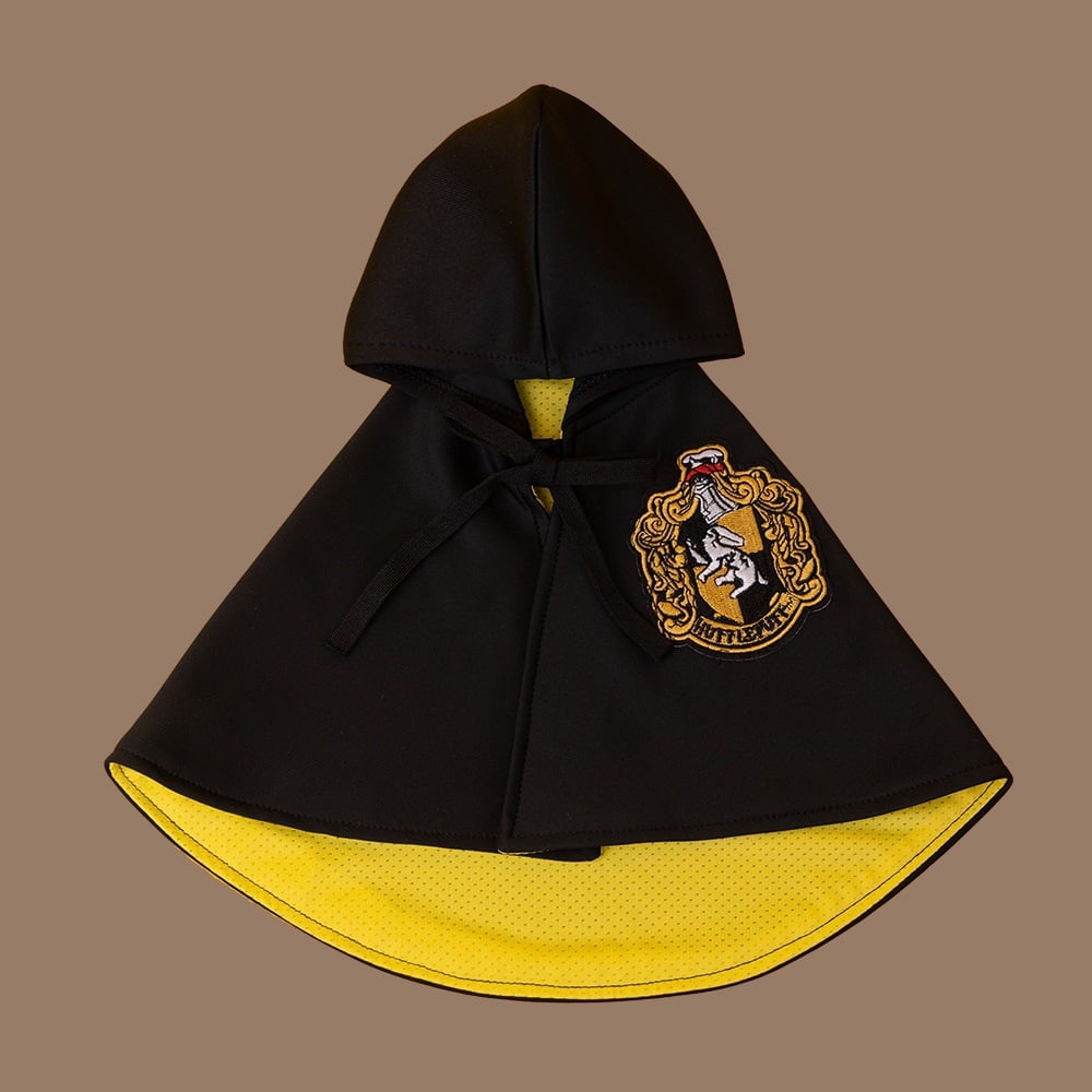 Magic halloween cape for pets