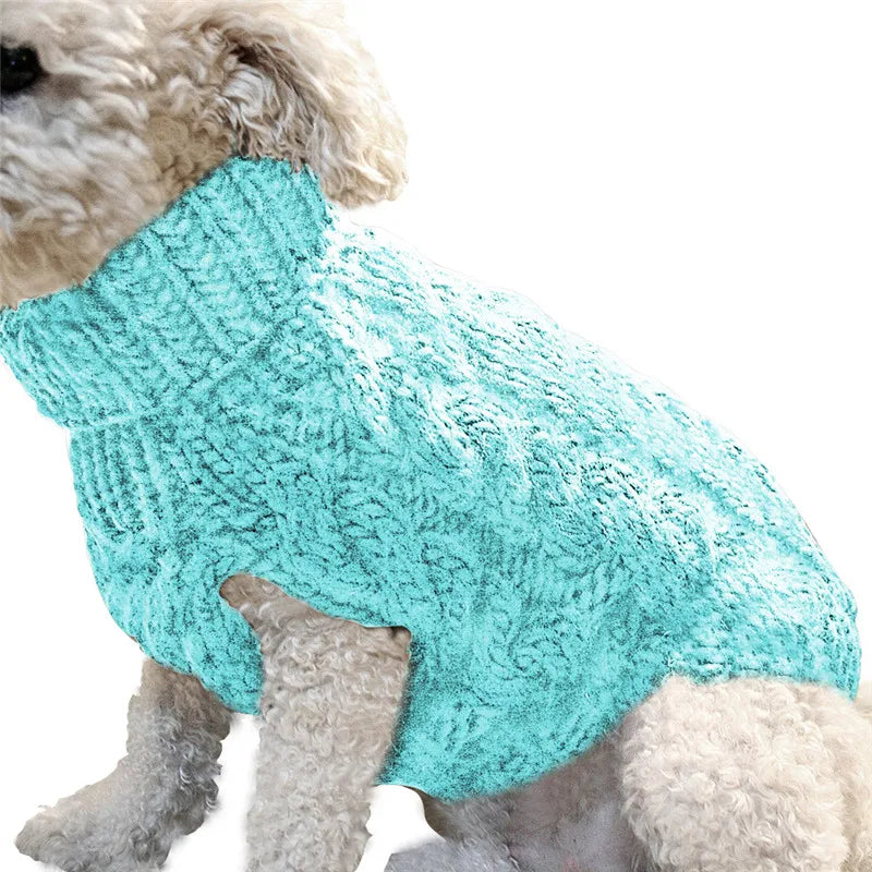 Winter Sweater