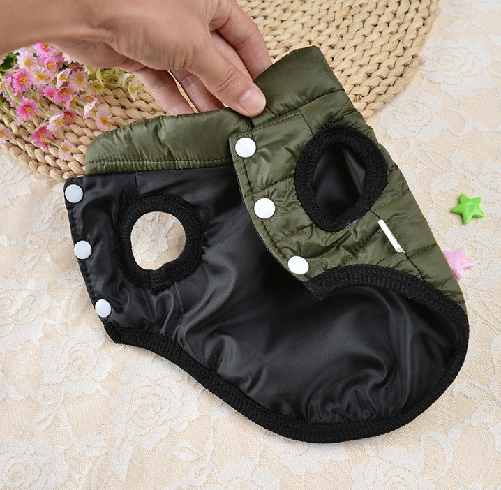 Thermal Padded Coat for Small Dogs
