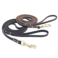 Leather Dog Leash