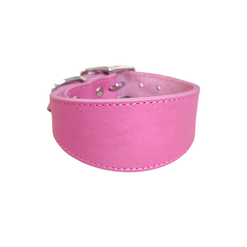Leather Dog Collar
